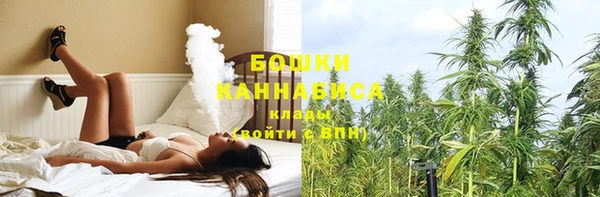 амф Медногорск