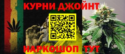 ГАЛЛЮЦИНОГЕННЫЕ ГРИБЫ Беслан