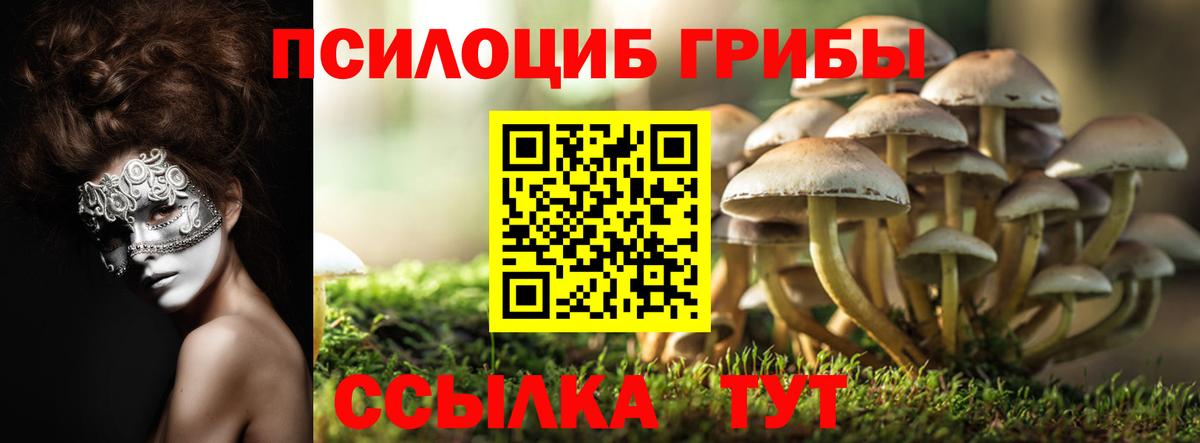 Псилоцибиновые грибы Magic Shrooms  Галлюциногенные грибы мицелий  что такое   Вход с VPN  Воронеж 