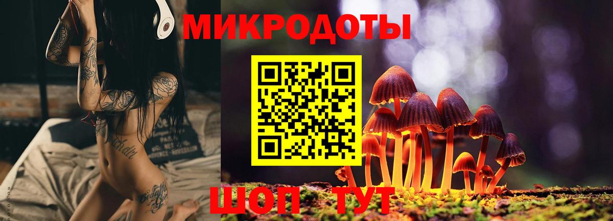 Галлюциногенные грибы мухоморы  Воронеж 